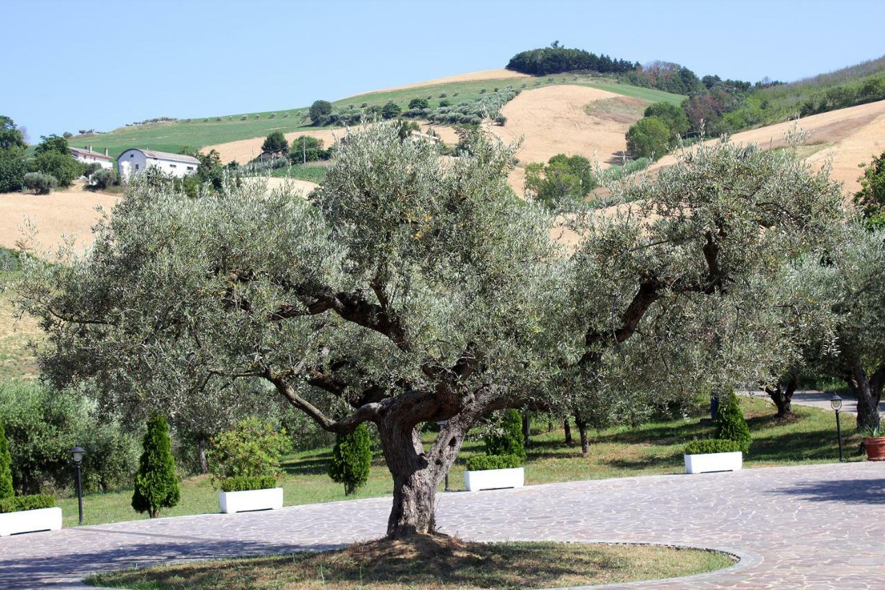 Country House La Foggetta Guest House Pineto Exterior photo